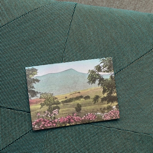 Massanutten Springs Station Harrisonburg Virginia Postcard - Picture 4 of 14